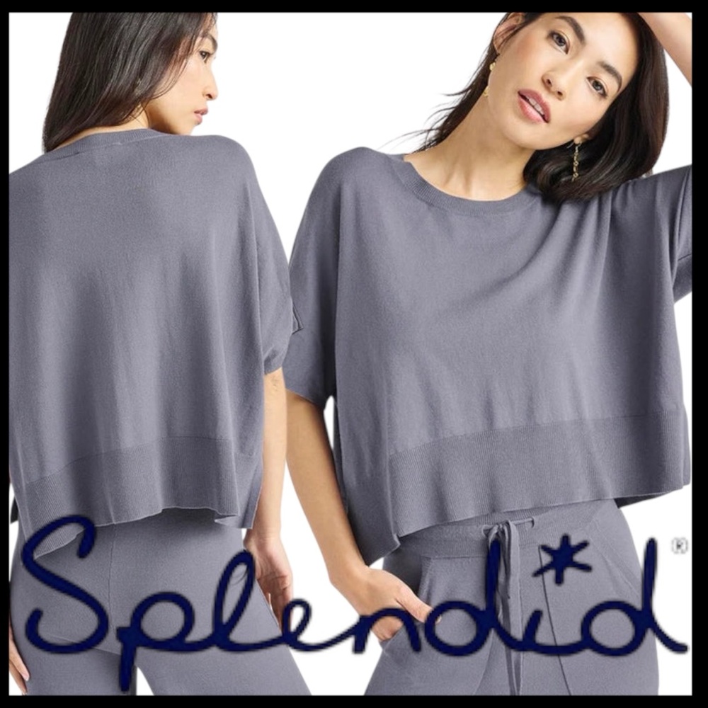Splendid Grey/Blue Veronica Short Sleeve Oversize Crop Sweater (L)